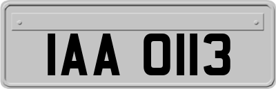 IAA0113