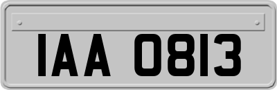 IAA0813