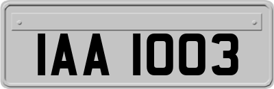 IAA1003