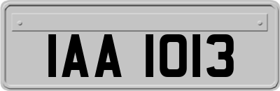 IAA1013