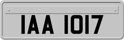 IAA1017