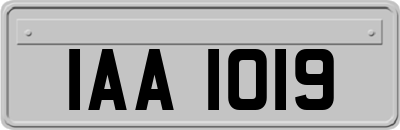 IAA1019