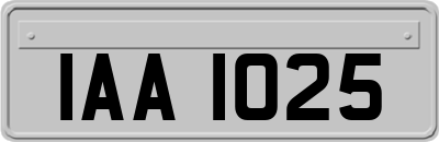IAA1025