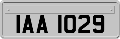 IAA1029