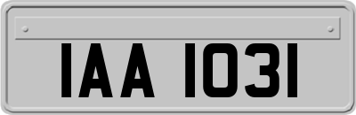 IAA1031