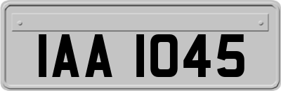 IAA1045