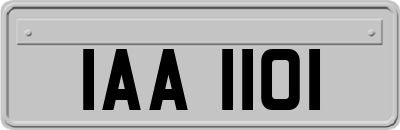 IAA1101