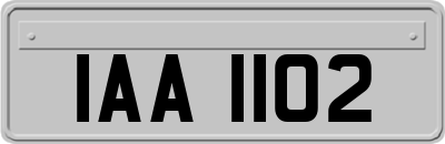 IAA1102