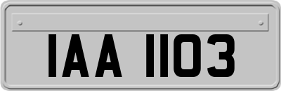 IAA1103