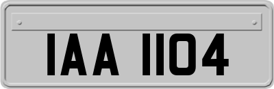 IAA1104