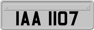 IAA1107