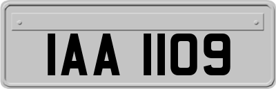 IAA1109