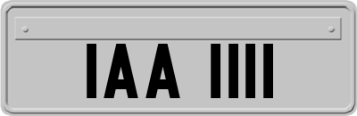 IAA1111