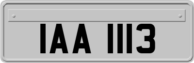 IAA1113