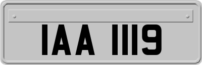 IAA1119