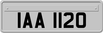 IAA1120