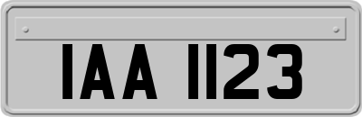 IAA1123