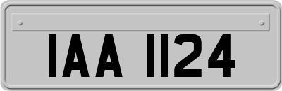 IAA1124