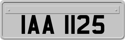 IAA1125