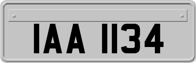 IAA1134
