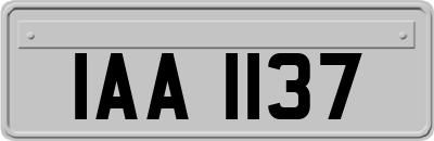 IAA1137