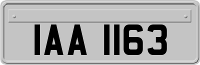 IAA1163