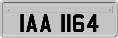 IAA1164