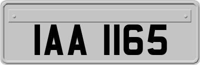 IAA1165