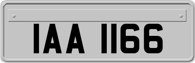 IAA1166