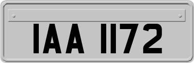 IAA1172