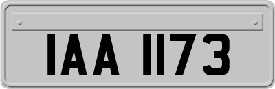 IAA1173