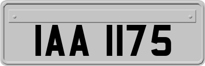 IAA1175