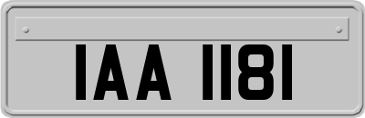 IAA1181