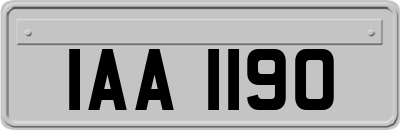 IAA1190