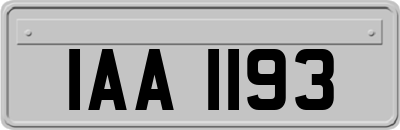 IAA1193