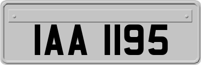 IAA1195