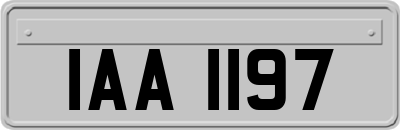 IAA1197