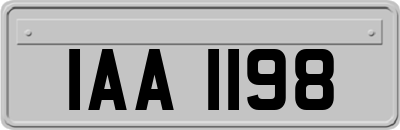 IAA1198