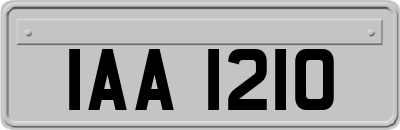 IAA1210