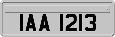IAA1213