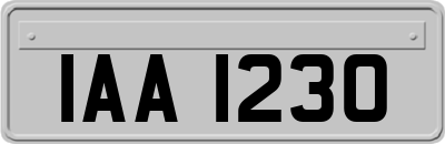 IAA1230