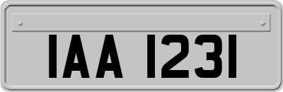 IAA1231