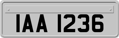 IAA1236