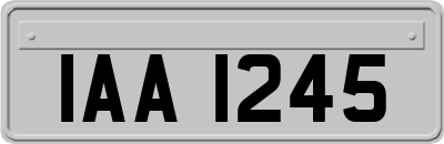 IAA1245