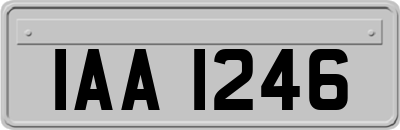 IAA1246