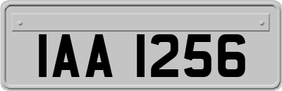 IAA1256