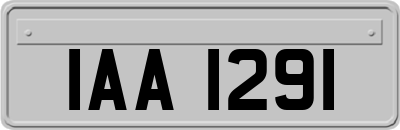 IAA1291