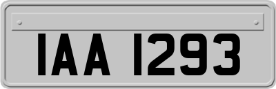 IAA1293