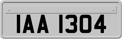IAA1304