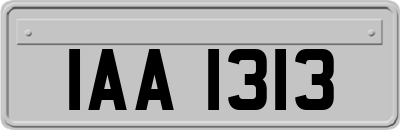 IAA1313